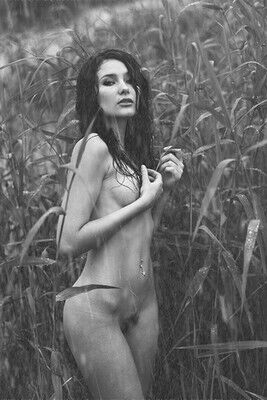 Телочка города Тетиева